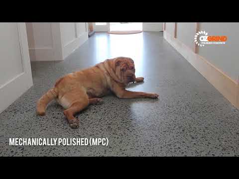 OzGrind Polished Concrete Options - Types of Polished Concrete Flooring